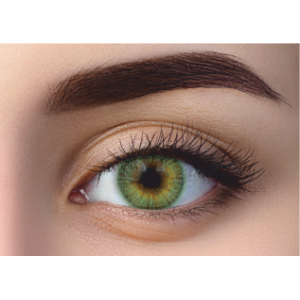 WDL COLOR MONTHLY LIME