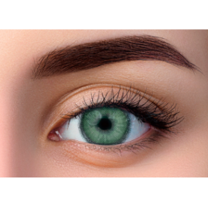 WDL COLOR MONTHLY MOJITO