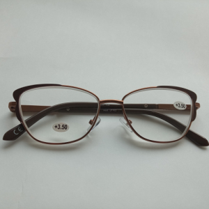 Готовые очки LIFESTYLE LF102