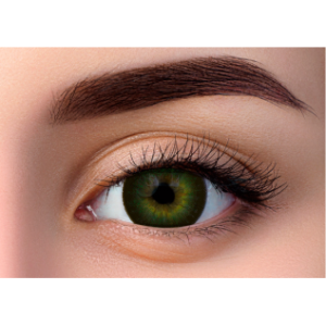 WDL COLOR MONTHLY GREEN