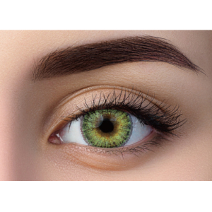 WDL COLOR MONTHLY FOREST