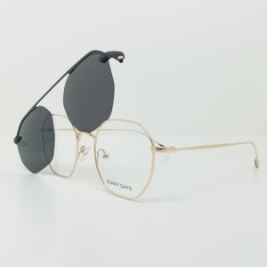 Оправа SUNNY DAYS (with clip) RY1034